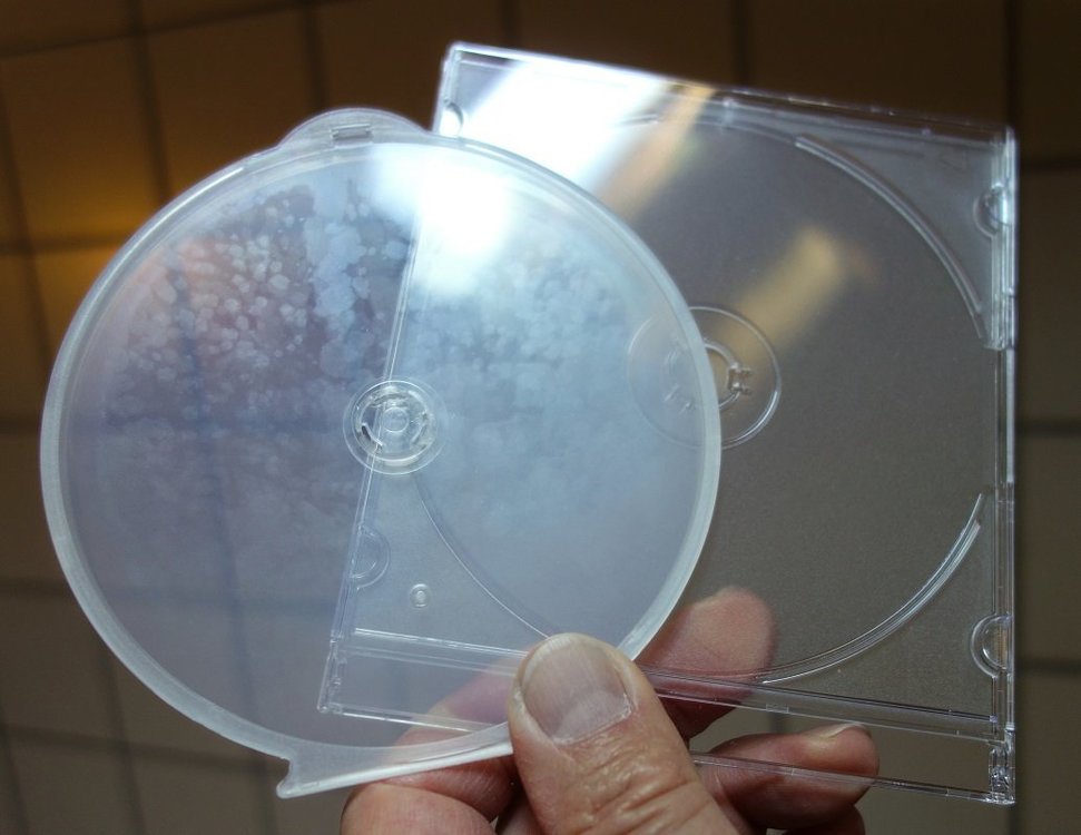 Archival test of plastic DVD cases D.D.Teoli Jr..jpg
