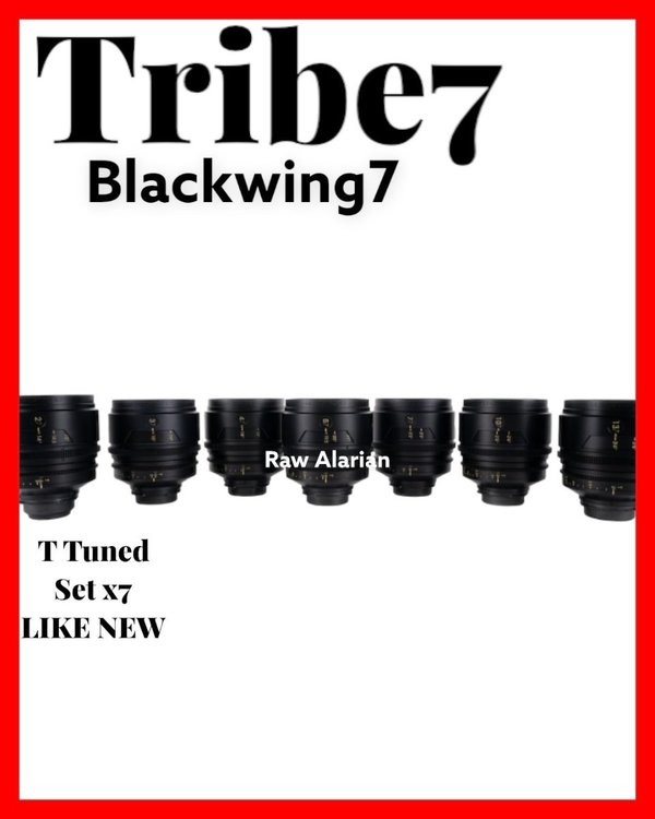 Tribe7.jpeg
