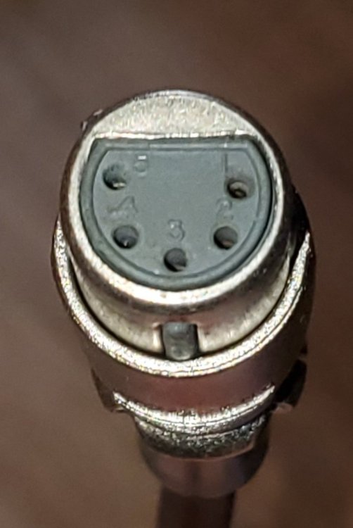 20240807_175800.jpg