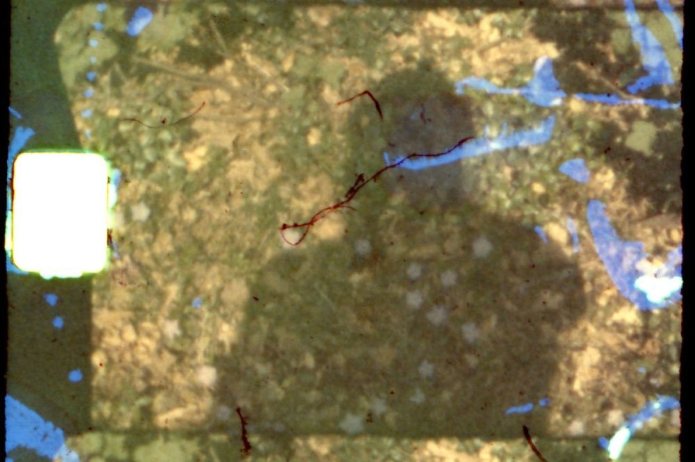 fujichrome_r25-test-number013-crop-s.jpg