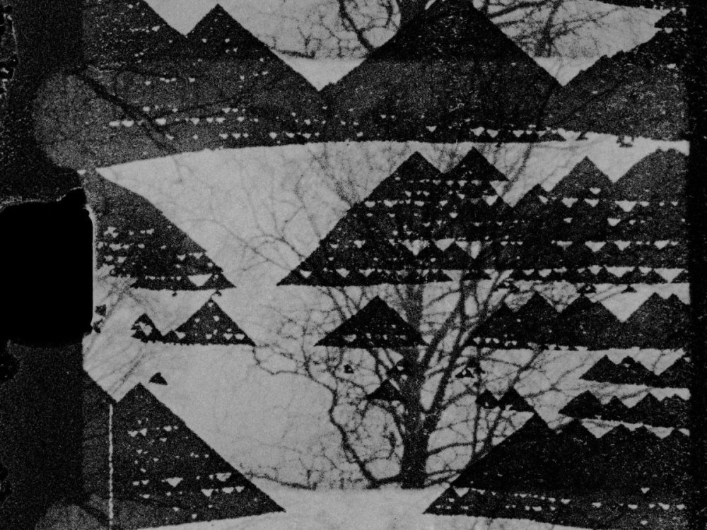 Image8s.jpg
