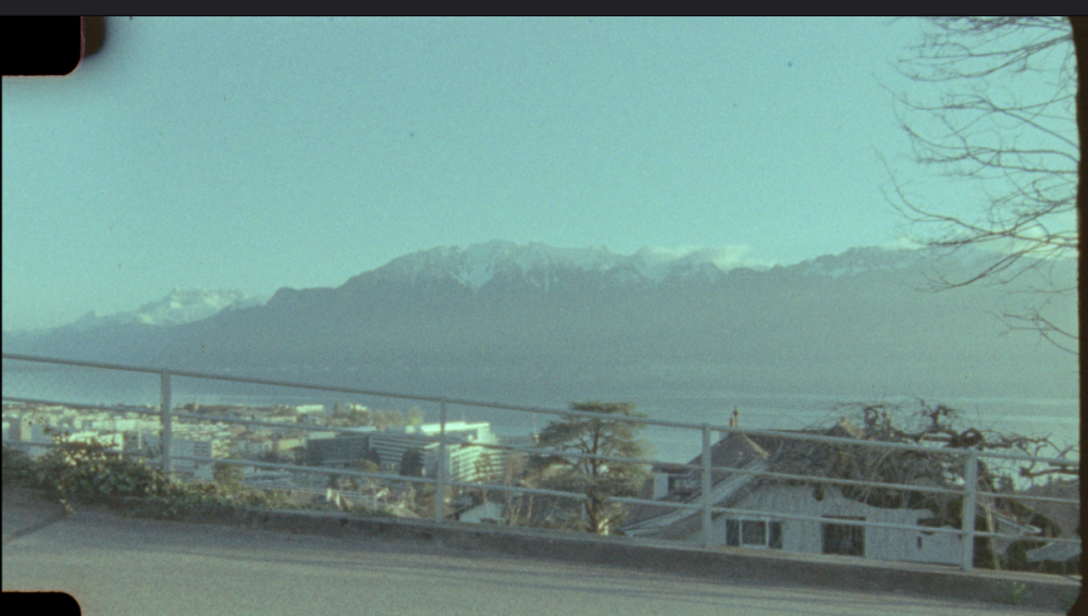 image.thumb.png.8228d59a87efe1f197cb9aedb3456670.png