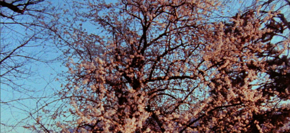 image.thumb.png.b4dbf0205382cf23888ff906e341e424.png