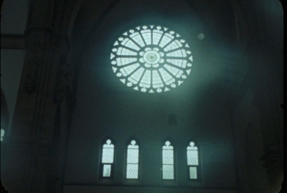 IMG_2101.thumb.jpeg.aeab336ee5c933ca76c34942b0c8d30f.jpeg